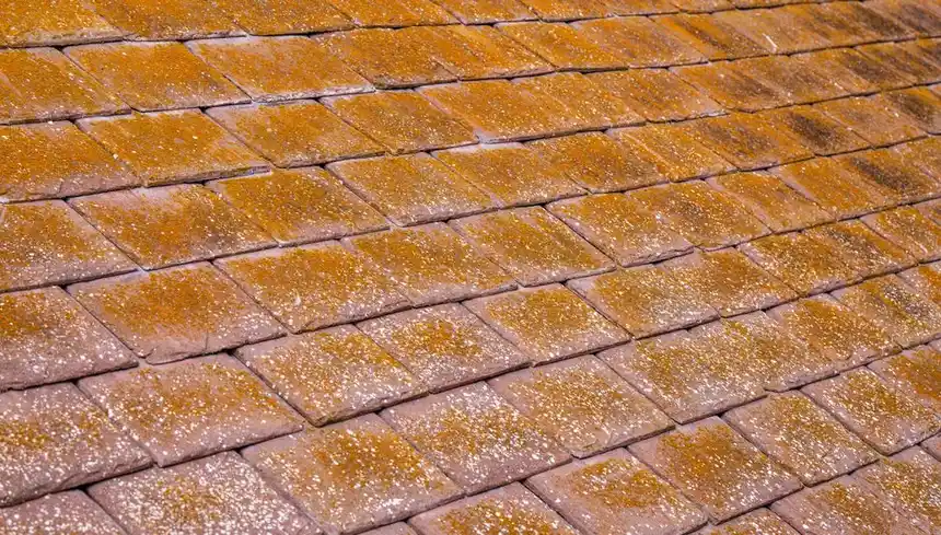 How Long Does a Roof Last in Corpus Christi?
