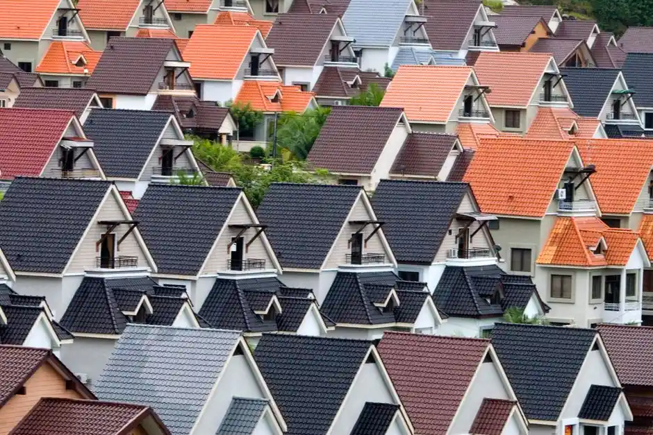 Roof Maintenance